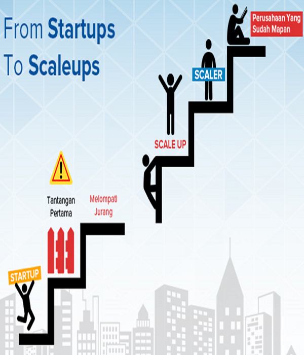 startup, scaleup e scaler